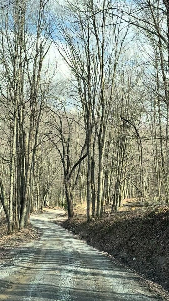 Post 6 by ❤️WvSpeedQueen87❤️ on TikTok (video)