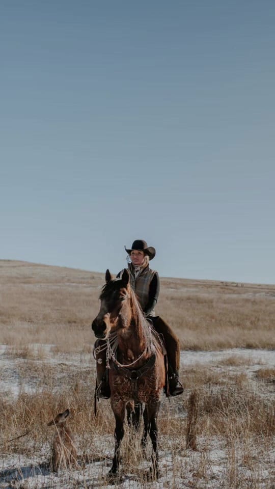 Post 1 by Haggard Honey Photography📷 on TikTok (video)