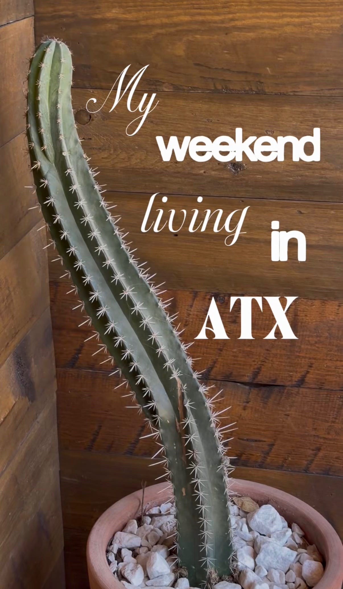 Post 3 by LEXI★ on TikTok (video)