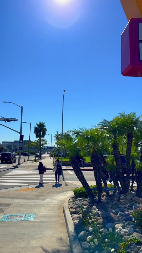 Post 9 by NYC 🇺🇸🗽 on TikTok (video)