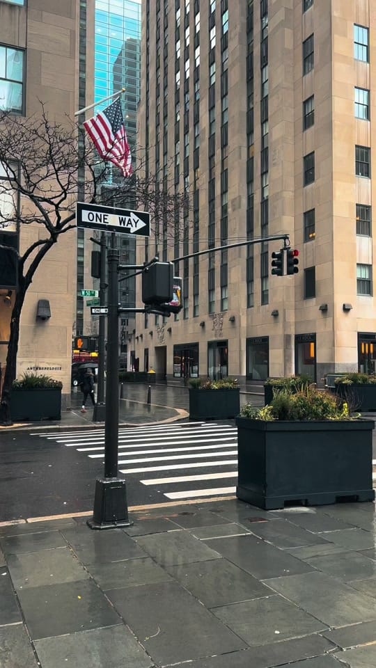 Post 2 by NYC 🇺🇸🗽 on TikTok (video)