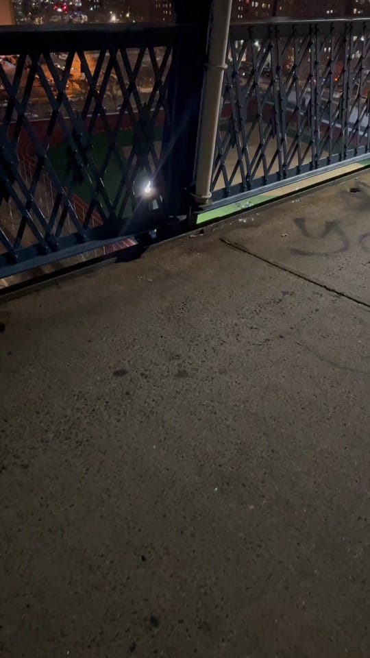Post 10 by NYC 🇺🇸🗽 on TikTok (video)