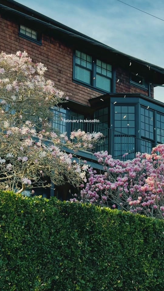 Post 8 by Anastasia on TikTok (video)