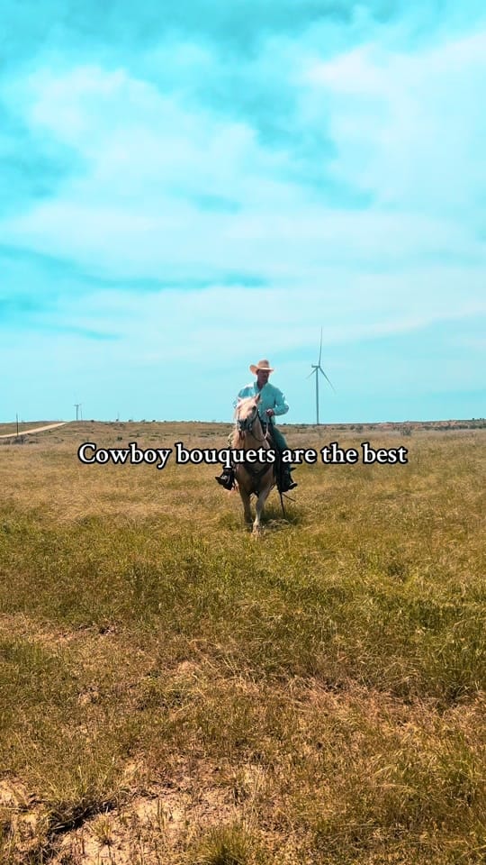 Post 10 by Morghan Ruggles on TikTok (video)
