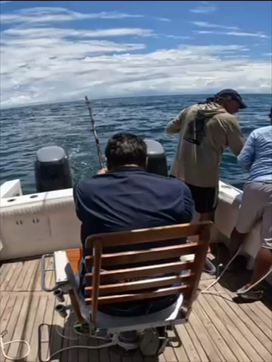 Post 2 by Carey Chen on TikTok (video)