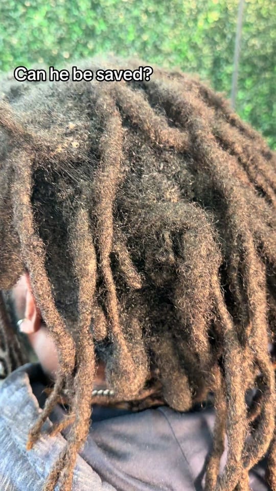 Post 7 by DAYYY THE LOC SLAYERRR🌿 on TikTok (video)