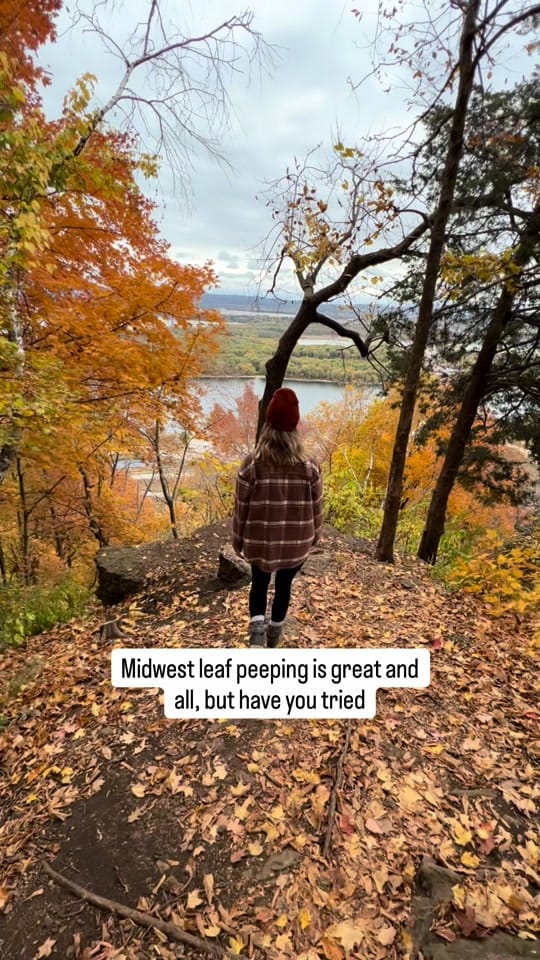 Post 7 by Lindsey Ranzau on TikTok (video)