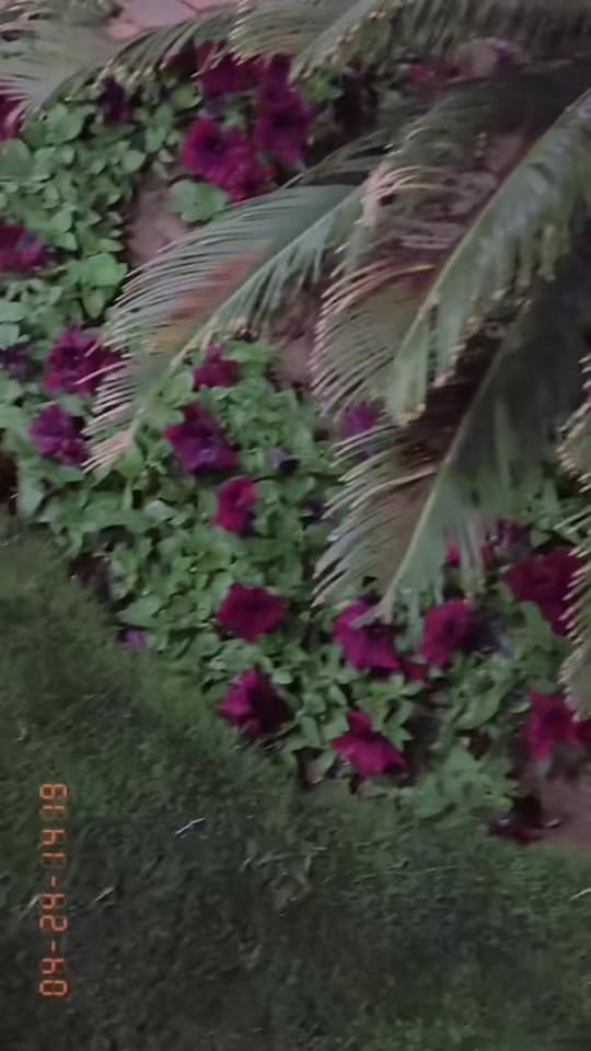Post 3 by 🔥Duaa Shah🔥 on TikTok (video)