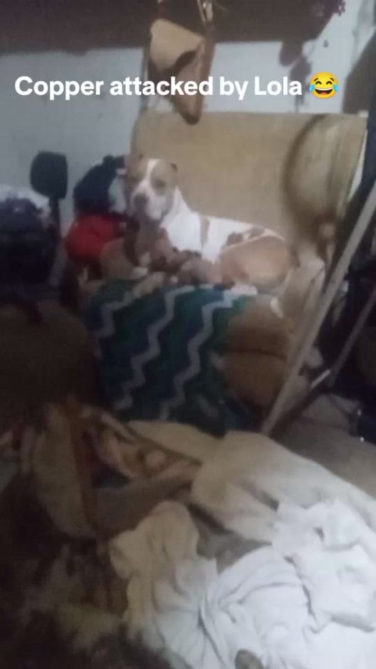 Post 2 by Travitos31Gen❌️ on TikTok (video)