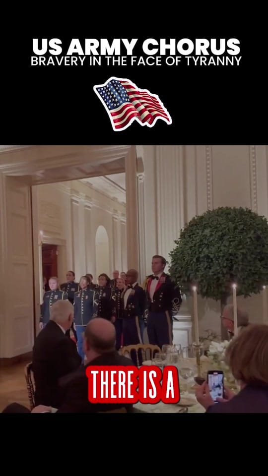 Post 8 by Rex Headroom on TikTok (video)