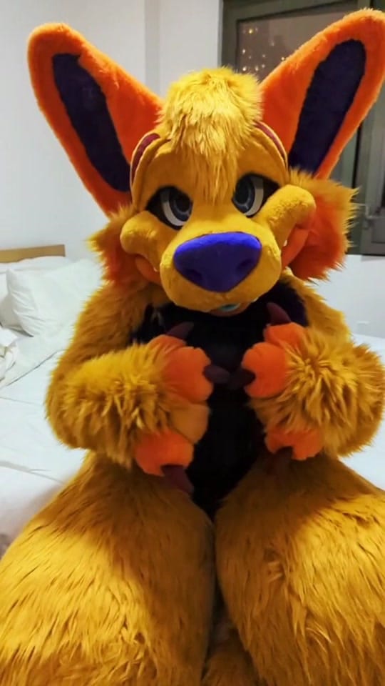 Post 4 by KovuTheHusky on TikTok (video)