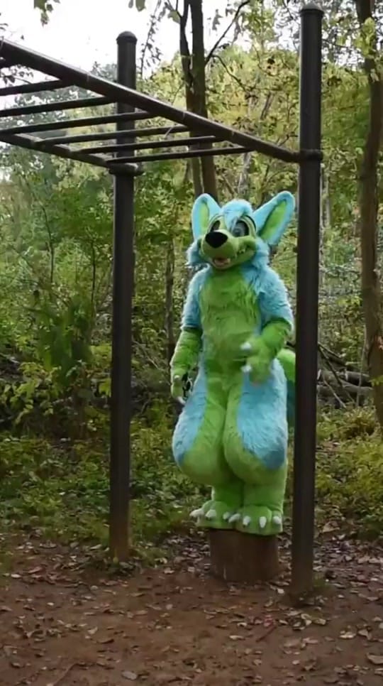 Post 6 by KovuTheHusky on TikTok (video)