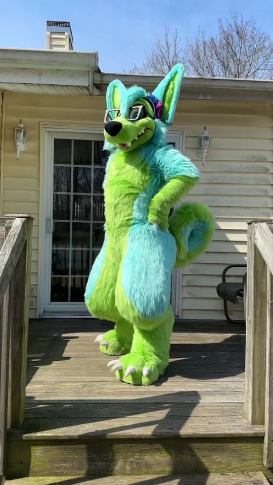 Post 2 by KovuTheHusky on TikTok (video)