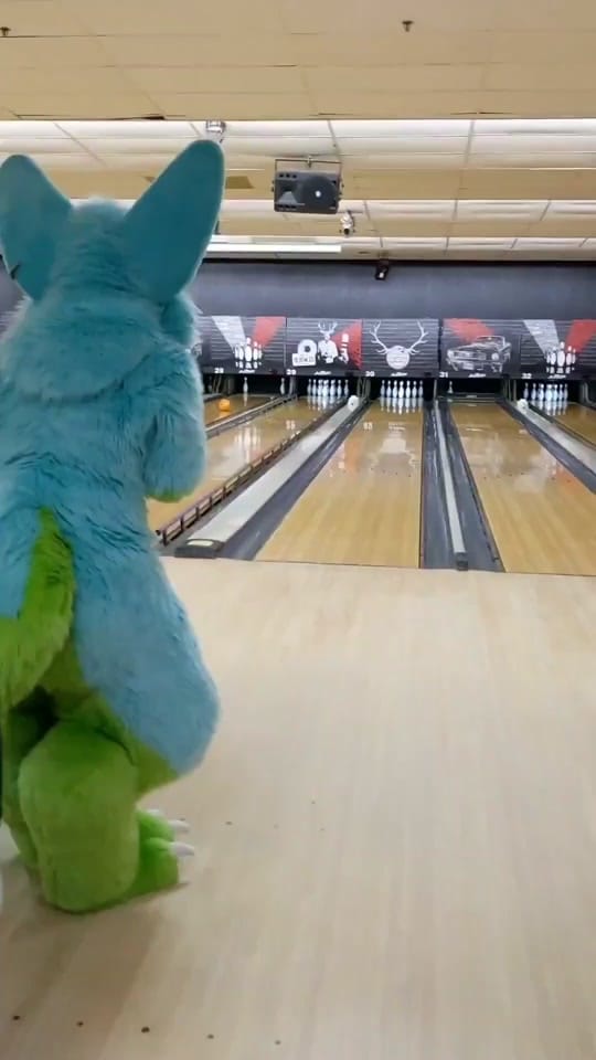 Post 7 by KovuTheHusky on TikTok (video)