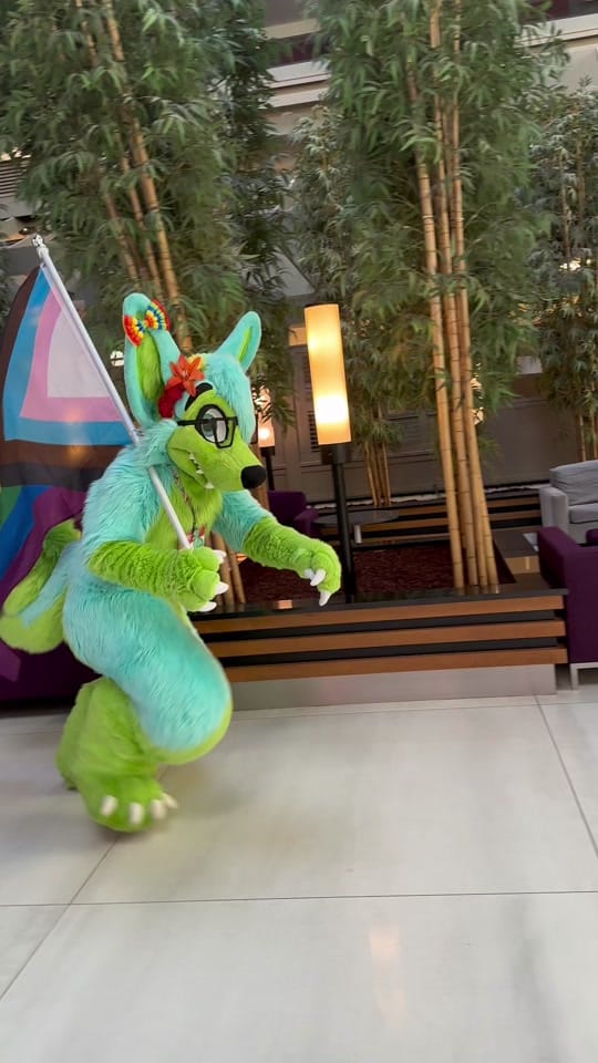 Post 8 by KovuTheHusky on TikTok (video)