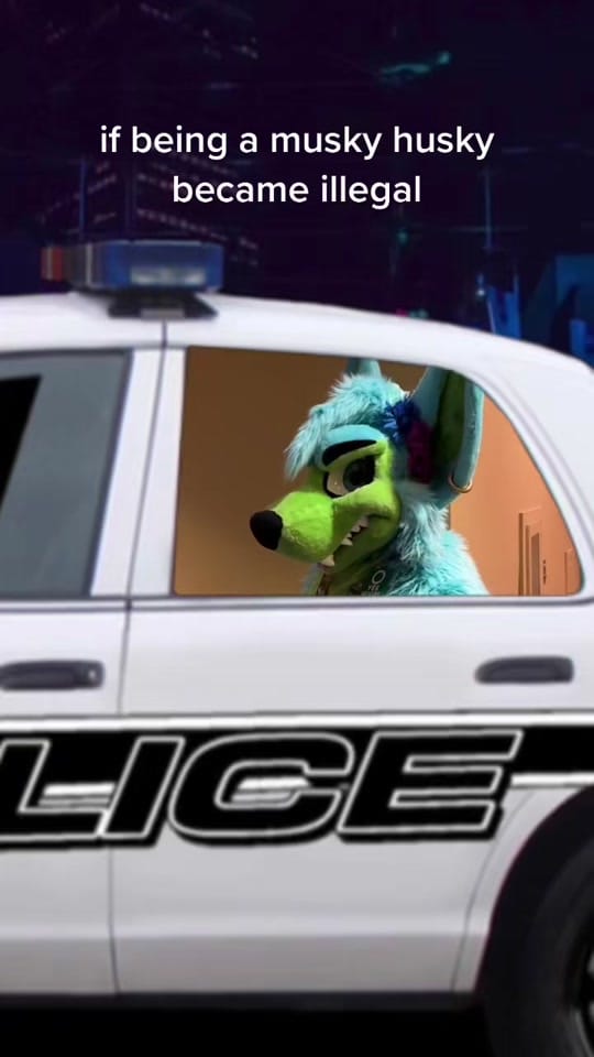 Post 3 by KovuTheHusky on TikTok (video)