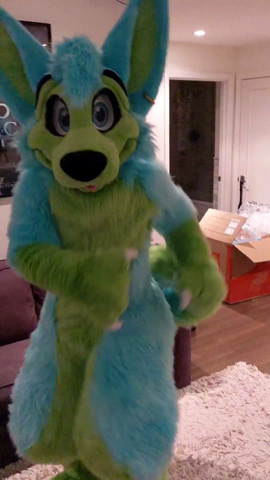Post 5 by KovuTheHusky on TikTok (video)