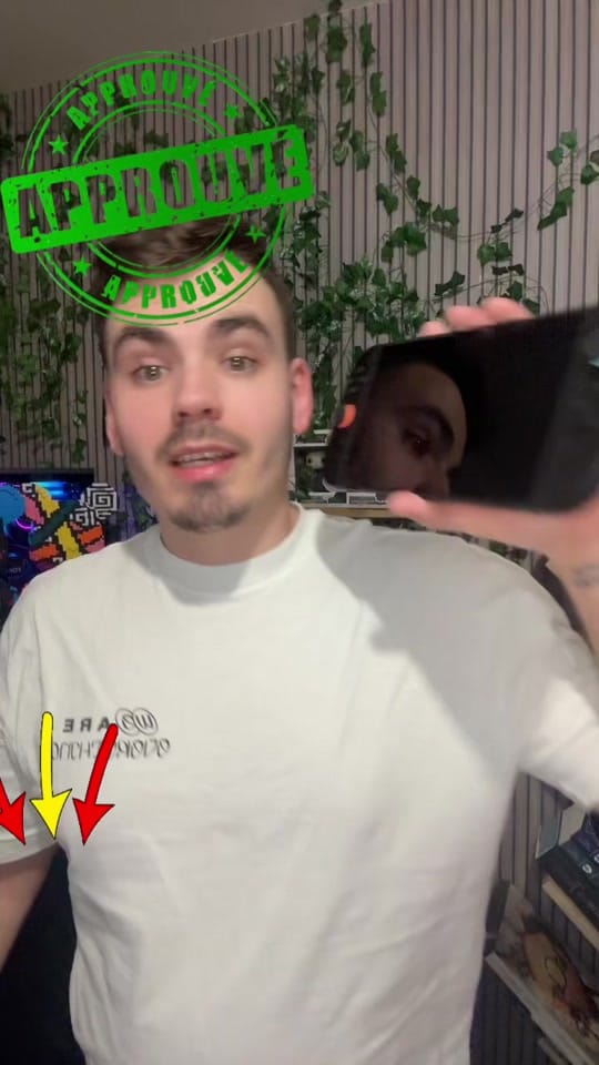 Post 2 by 🎮PouletPercheTV🕹️ on TikTok (video)