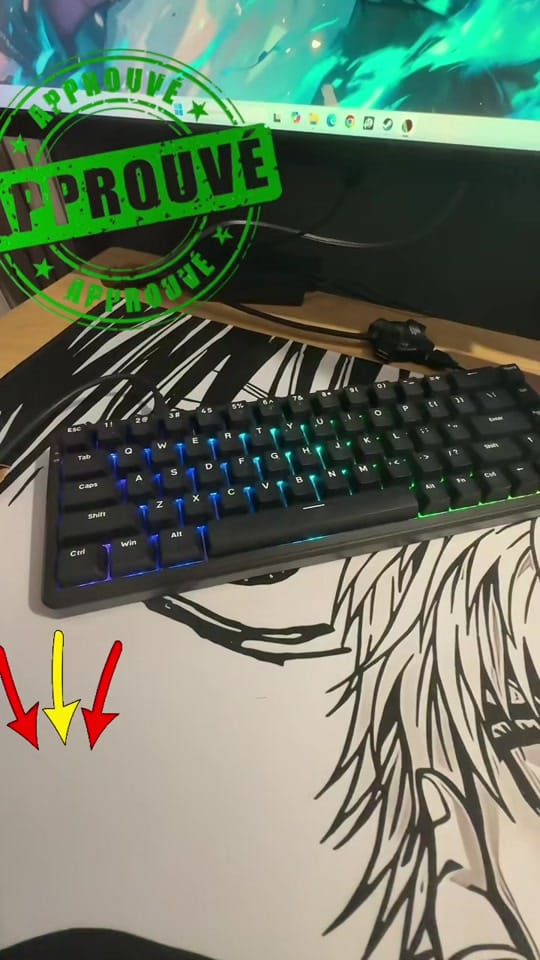 Post 1 by 🎮PouletPercheTV🕹️ on TikTok (video)