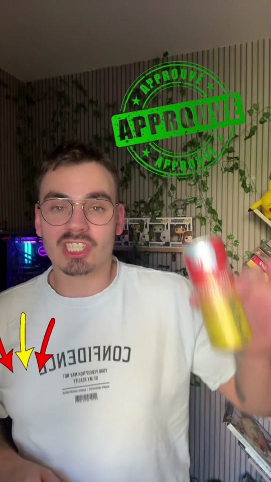 Post 10 by 🎮PouletPercheTV🕹️ on TikTok (video)