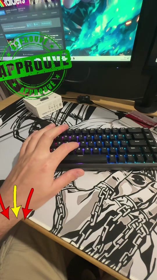 Post 6 by 🎮PouletPercheTV🕹️ on TikTok (video)