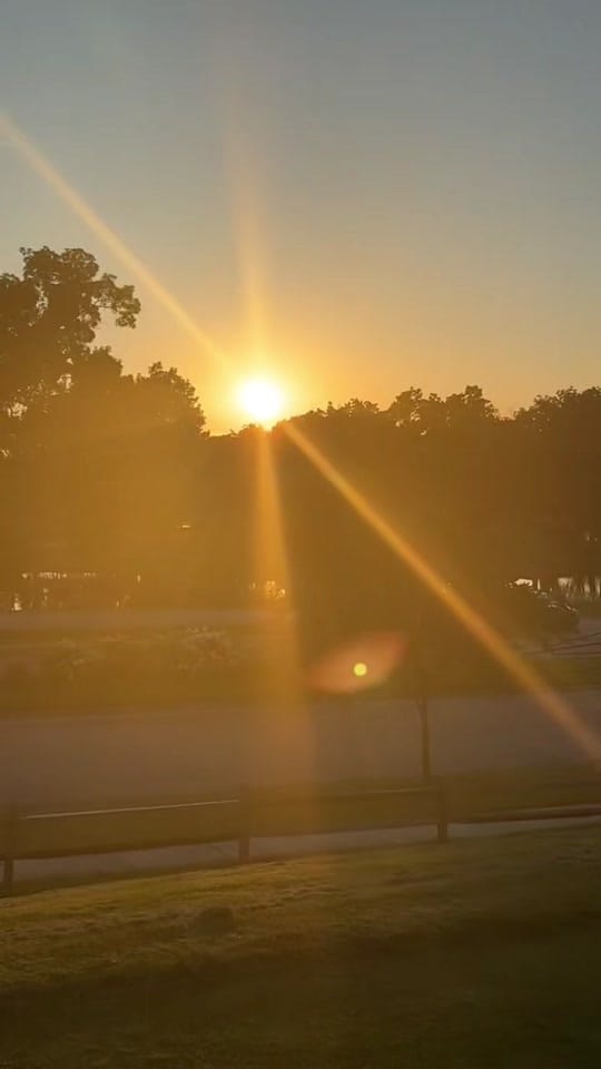 Post 4 by 🪽ANGEL🪽 on TikTok (video)