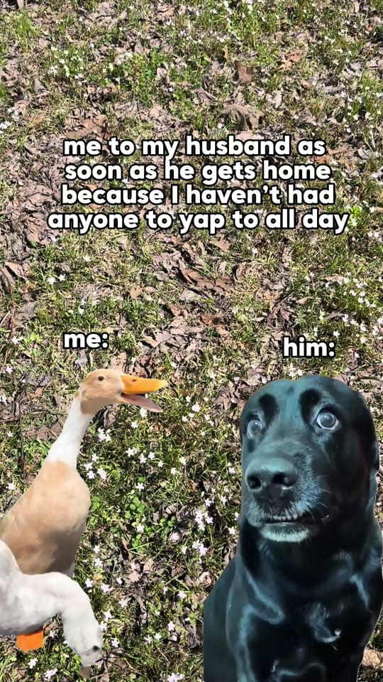 Post 8 by Miss. Jessie on TikTok (video)