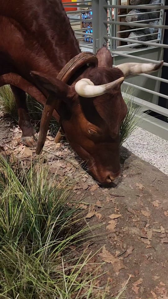 Post 1 by Gen Con on TikTok (video)