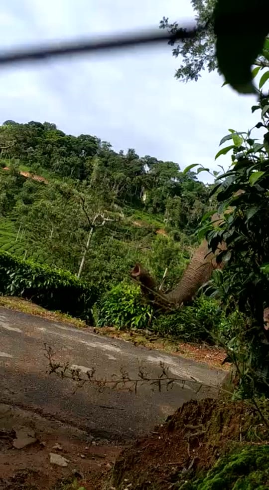Post 9 by Nevin on TikTok (video)