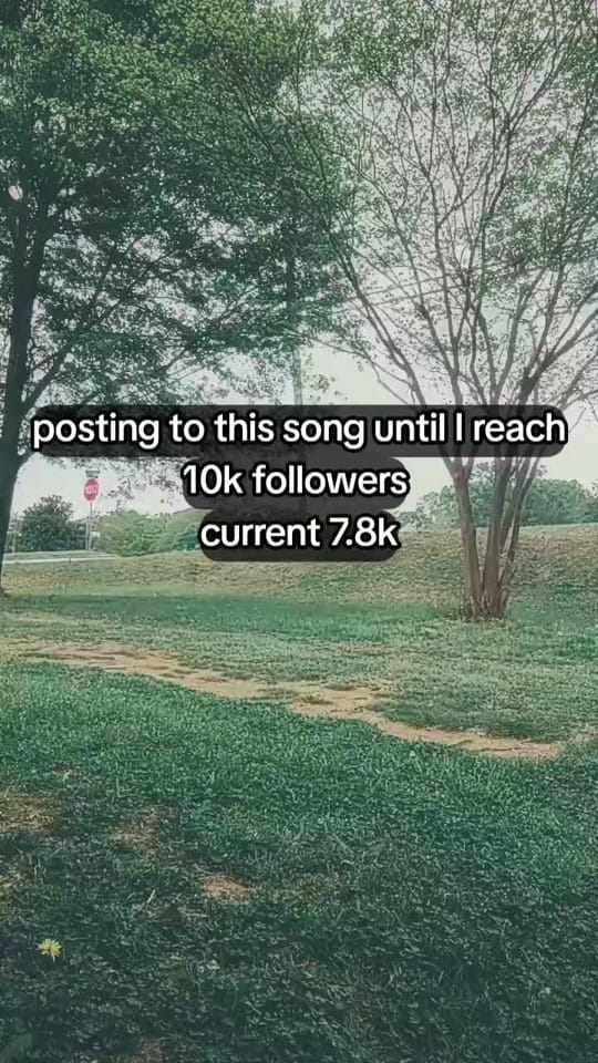 Post 2 by heathervibesz on TikTok (video)