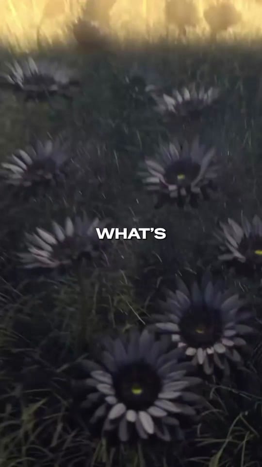 Post 10 by VoidHeartGamers on TikTok (video)