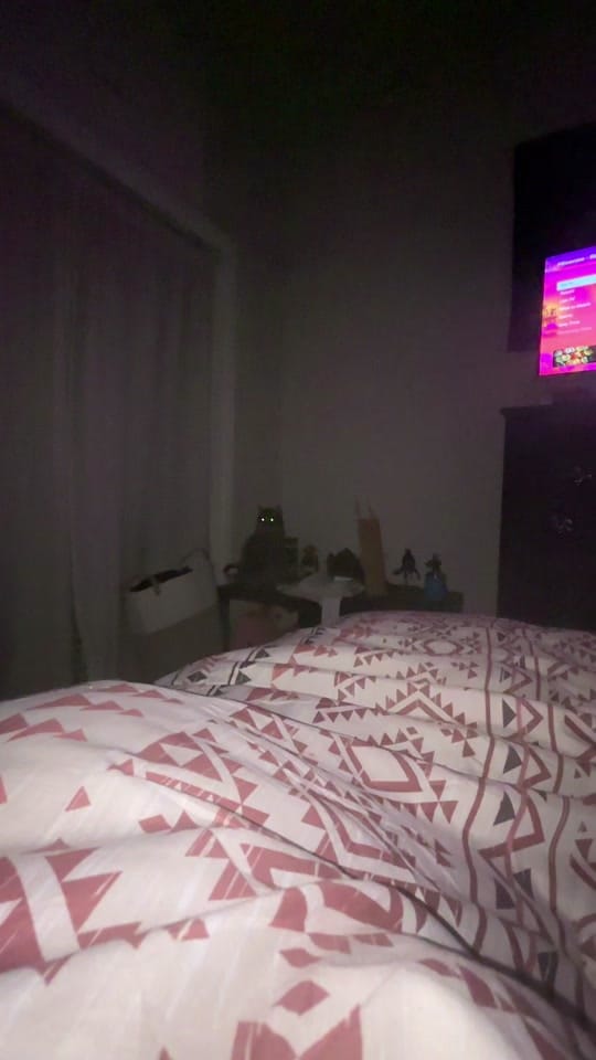 Post 2 by Leanna :) on TikTok (video)