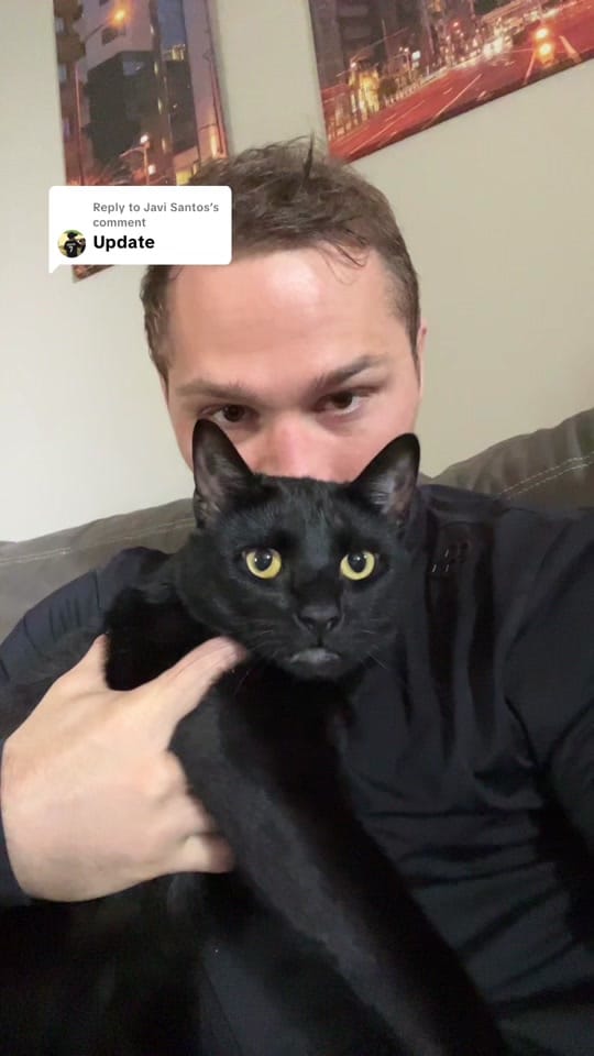 Post 5 by Spencer Lee on TikTok (video)