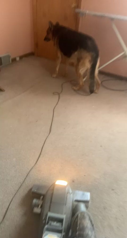 Post 5 by Quincey James White 🤓 on TikTok (video)
