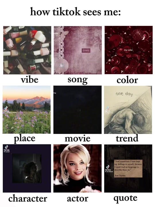 Post 5 by 𝐻𝒶𝒾𝓁𝒾𝑒 𐦍 ⋆. 𐙚 ˚ on TikTok (video)