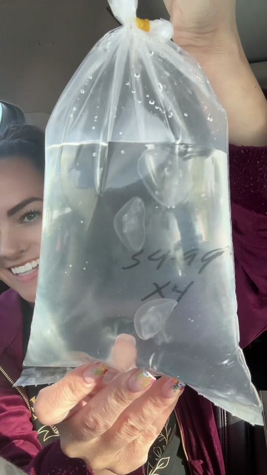 Post 2 by 🎀MarissasHaven🎀 on TikTok (video)
