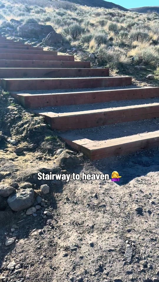 Post 7 by 🎀MarissasHaven🎀 on TikTok (video)