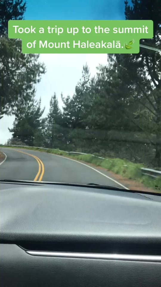 Post 5 by Royce on TikTok (video)