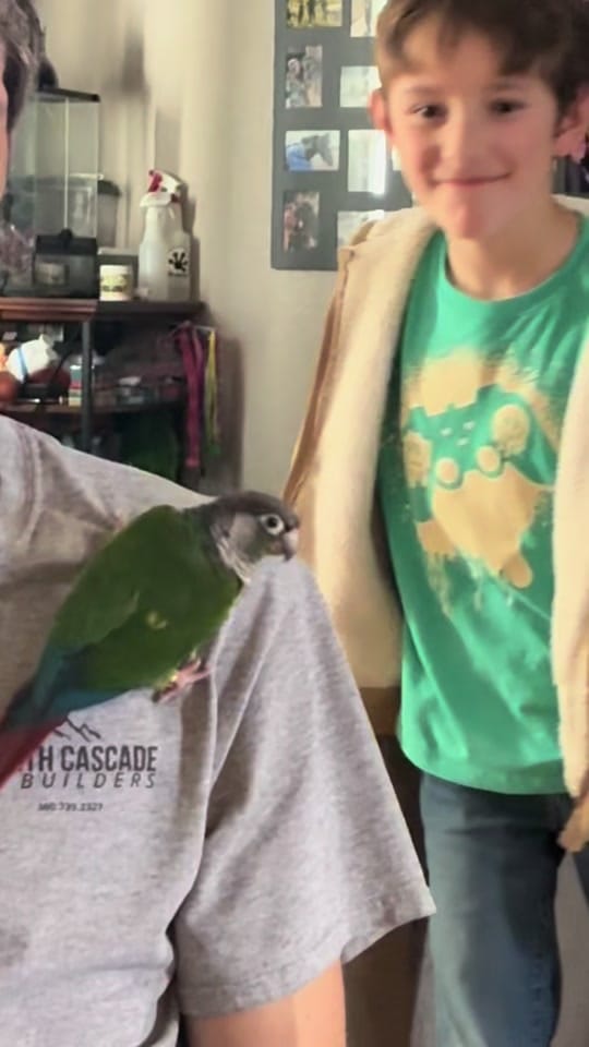 Post 7 by AA Sport Ponies 🦄 on TikTok (video)