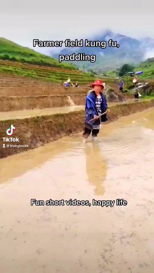 Post 1 by Champ wins on TikTok (video)