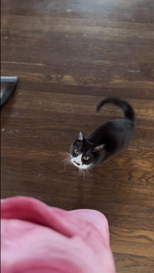 Post 4 by •Gabby• on TikTok (video)