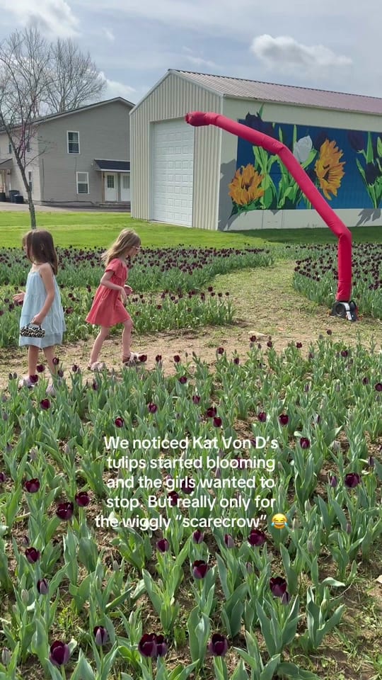 Post 2 by Olivia Joye | WFHM on TikTok (video)