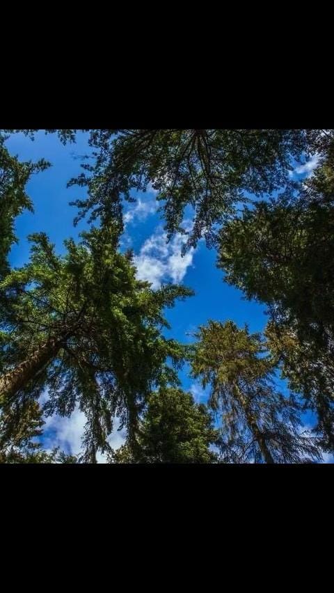 Post 6 by Phoenix on TikTok (video)