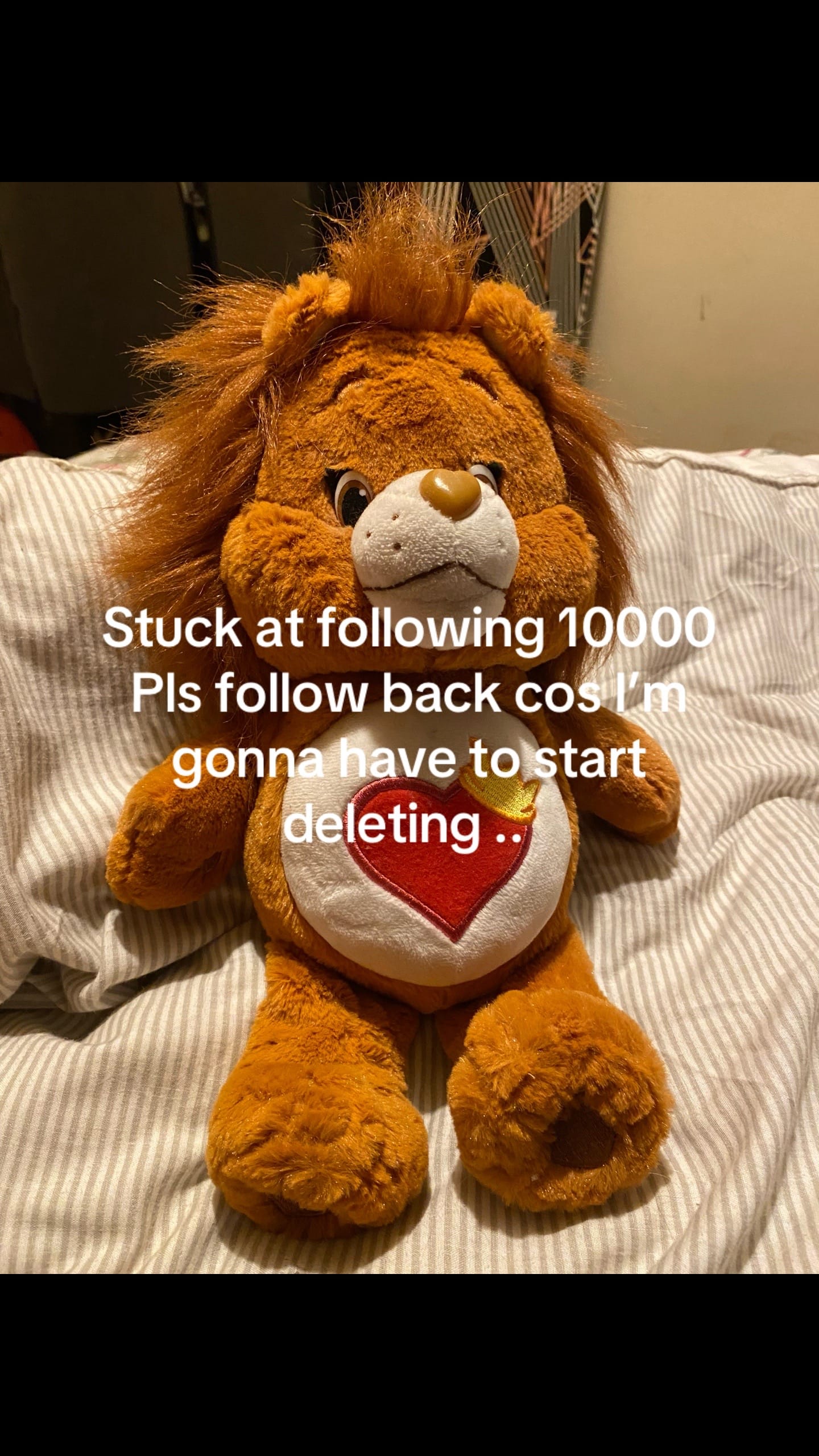 Post 7 by Phoenix on TikTok (video)