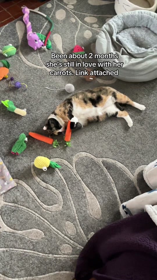 Post 9 by GiantDoodies on TikTok (video)