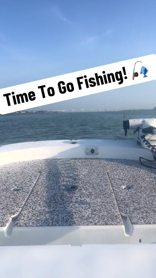 Post 8 by Mr_Fawkes on TikTok (video)