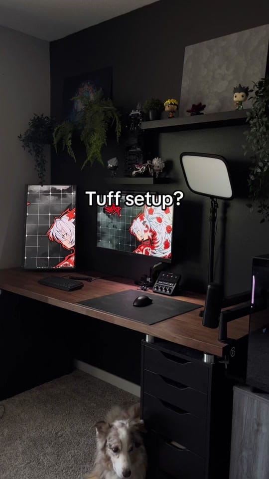 Post 6 by Avid on TikTok (video)