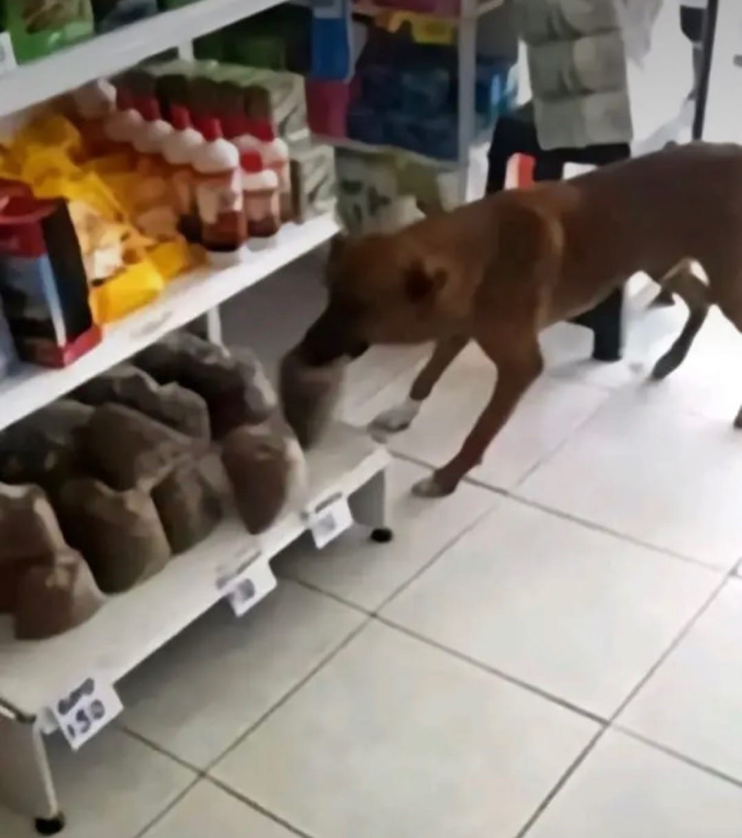 Post 10 by chucky2o9 on TikTok (video)
