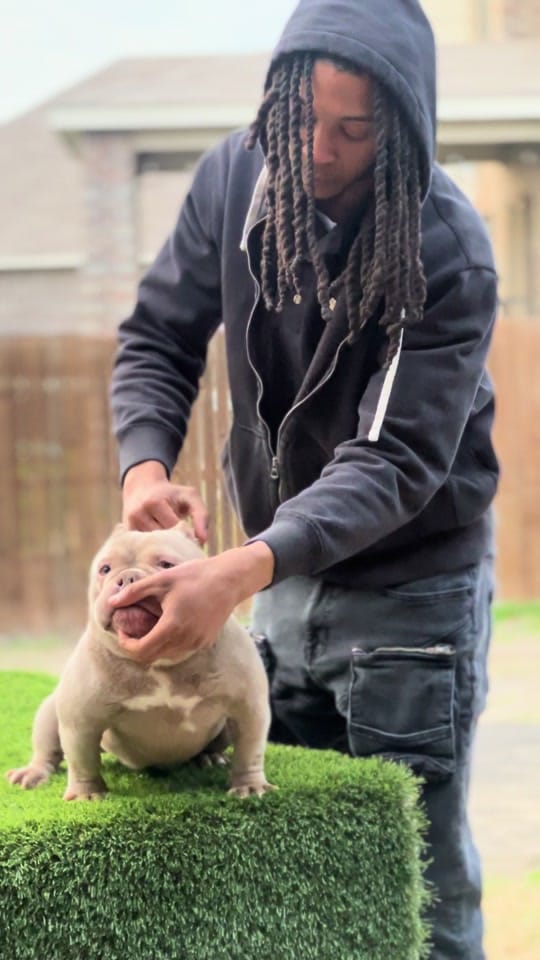 Post 10 by Demarcus Bennett (MAPKENNELS) on TikTok (video)