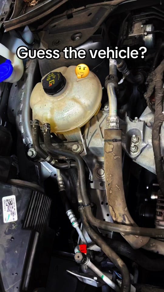 Post 6 by Ty Ritch on TikTok (video)